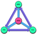 Thumbnail for version as of 14:34, 13 February 2013