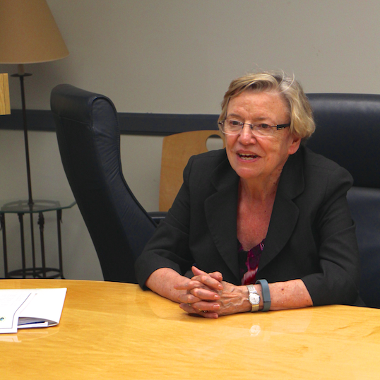 Dr. VanderPutten visits APEX Cohort 2 Summer Workshop 2014